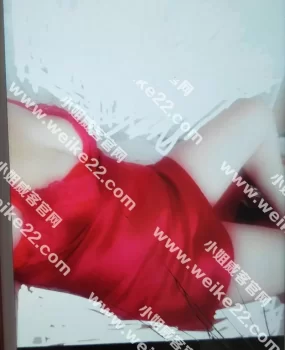 石家庄良家兼职风骚少妇